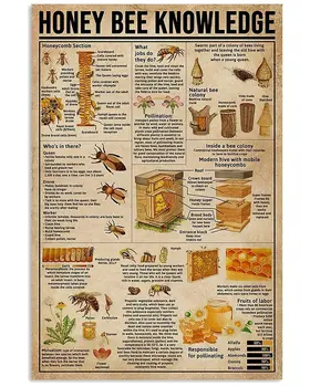 Veidsuh Honey Bee Knowledge 1 Металлическая Жестяная Вывеска Металлический Плакат Кофейня Бар Клуб Гостиная Школьная Стена Персонализированный Домашний Арт Wal
